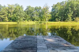 6600 Marshall Creek Rd, Patoka, IL 62875 - Photo 5