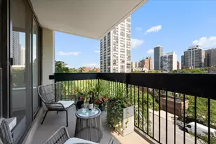 1455 N Sandburg Terrace, Chicago, IL 60610 - Photo 23