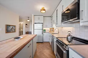1455 N Sandburg Terrace, Chicago, IL 60610 - Photo 13