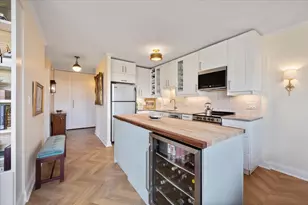 1455 N Sandburg Terrace, Chicago, IL 60610 - Photo 11