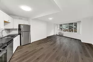 211 E Ohio St, Chicago, IL 60611 - Photo 11