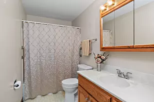 1804 Syracuse Ln, Schaumburg, IL 60193 - Photo 15