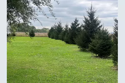 513 E 1100 North Road, Buckley, IL 60918 - Photo 5