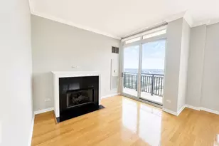 1111 S Wabash Ave, Chicago, IL 60605 - Photo 3
