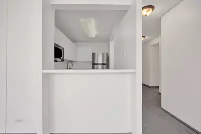 440 N Wabash Avenue #1008, Chicago, IL 60611 - Photo 13