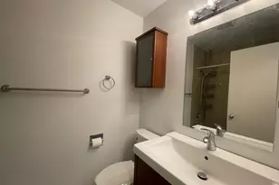 1912 Prairie Square, Schaumburg, IL 60173 - Photo 21