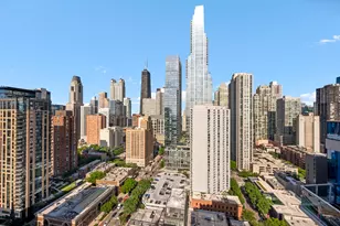 110 W Superior St, Chicago, IL 60654 - Photo 39