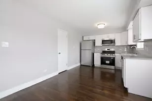 7900 S Merrill Ave, Chicago, IL 60649 - Photo 11