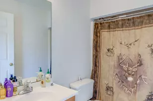 15644 N Sunfish Ln, Chicago, IL 62898 - Photo 15