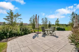 4276 Lacebark Ln, Naperville, IL 60564 - Photo 41