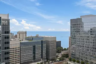 600 N Fairbanks Ct, Chicago, IL 60611 - Photo 13