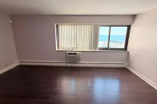 7337 S South Shore Dr, Chicago, IL 60649 - Photo 19