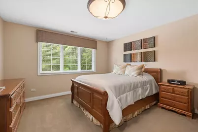 13600 Erin Drive, Homer Glen, IL 60491 - Photo 49