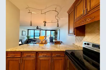 1560 N Sandburg Terrace #2110J, Chicago, IL 60610 - Photo 7