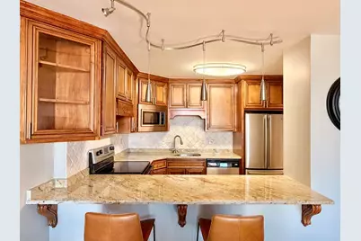 1560 N Sandburg Terrace #2110J, Chicago, IL 60610 - Photo 5