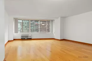 211 E Ohio St, Chicago, IL 60611 - Photo 11