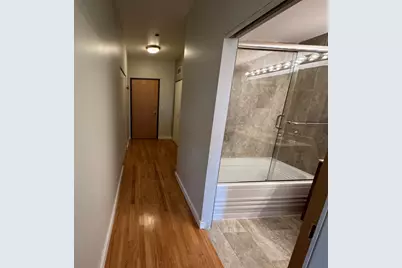 1720 S Michigan Avenue #1106, Chicago, IL 60616 - Photo 23