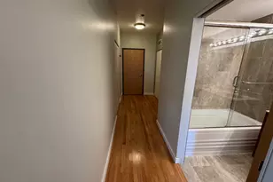 1720 S Michigan Ave, Chicago, IL 60616 - Photo 23