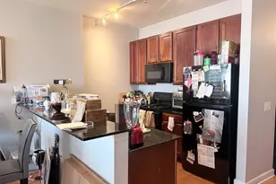 1235 S Prairie Ave, Chicago, IL 60605 - Photo 5
