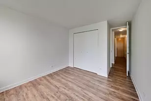 345 E Eastgate Pl, Chicago, IL 60616 - Photo 19