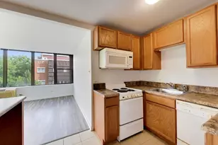 345 E Eastgate Pl, Chicago, IL 60616 - Photo 11
