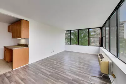 345 E Eastgate Place #302, Chicago, IL 60616 - Photo 5