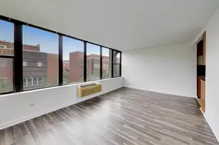 345 E Eastgate Pl, Chicago, IL 60616 - Photo 9