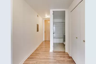 345 E Eastgate Place #302, Chicago, IL 60616 - Photo 23