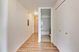 345 E Eastgate Pl, Chicago, IL 60616 - Photo 23