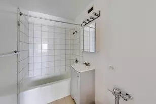 345 E Eastgate Pl, Chicago, IL 60616 - Photo 21