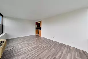 345 E Eastgate Pl, Chicago, IL 60616 - Photo 7