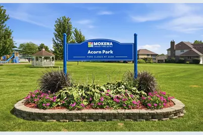20015 Red Oak Drive, Mokena, IL 60448 - Photo 39