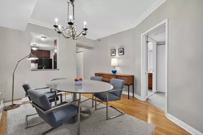 25 E Superior Street #1006, Chicago, IL 60611 - Photo 5