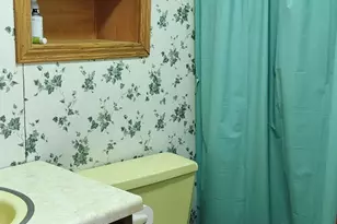 23235 S Volbrecht Rd, Crete, IL 60417 - Photo 33