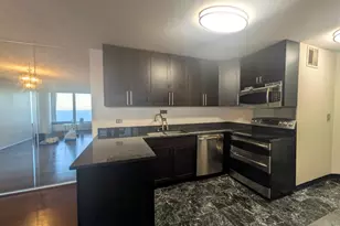 505 N Lake Shore Dr, Chicago, IL 60611 - Photo 7
