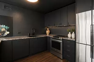4800 S Chicago Beach Dr, Chicago, IL 60615 - Photo 9