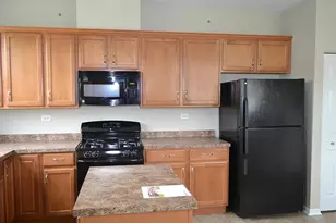 10225 Camden Ln, Bridgeview, IL 60455 - Photo 9