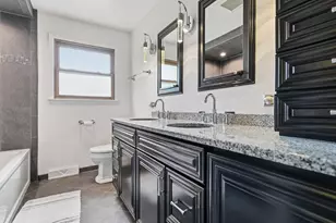 10313 S Cook Ave, Oak Lawn, IL 60453 - Photo 19