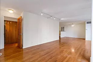 230 E Ontario St, Chicago, IL 60611 - Photo 15