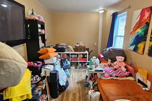 644 N Albany Ave, Chicago, IL 60612 - Photo 39