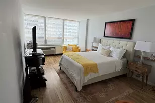 4800 S Chicago Beach Dr, Chicago, IL 60615 - Photo 9