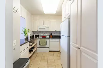 1560 N Sandburg Terrace #1506, Chicago, IL 60610 - Photo 11