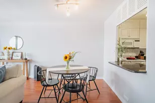 1560 N Sandburg Terrace, Chicago, IL 60610 - Photo 9