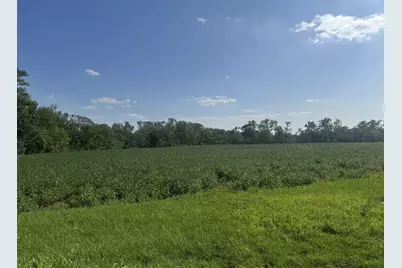 7659 W Steger Road, Frankfort, IL 60423 - Photo 7