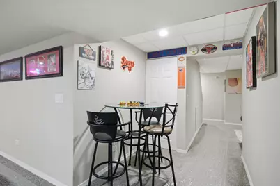 249 E Cobbler Court, Round Lake Beach, IL 60073 - Photo 25