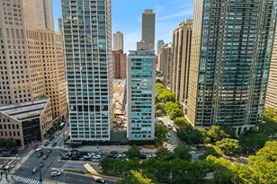 1000 N Lake Shore Dr, Chicago, IL 60611 - Photo 21