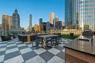 403 N Wabash Ave, Chicago, IL 60611 - Photo 33