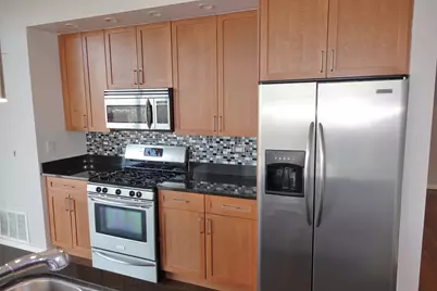 1620 S Michigan Avenue #1105, Chicago, IL 60616 - Photo 3
