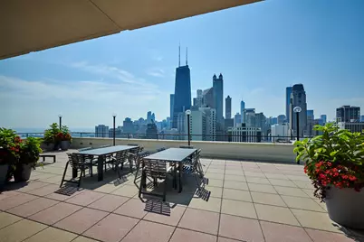 1212 N Lake Shore Drive #24BN, Chicago, IL 60610 - Photo 45