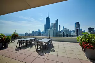 1212 N Lake Shore Dr, Chicago, IL 60610 - Photo 45